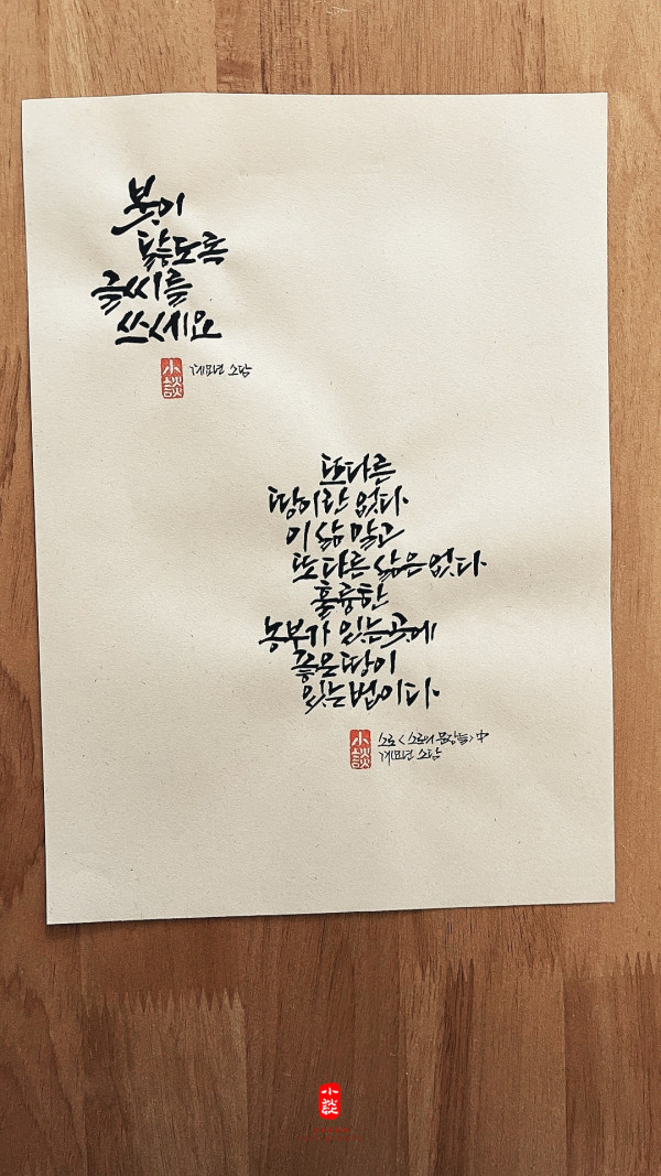 이 삶 말고 또 다른 삶은 없다