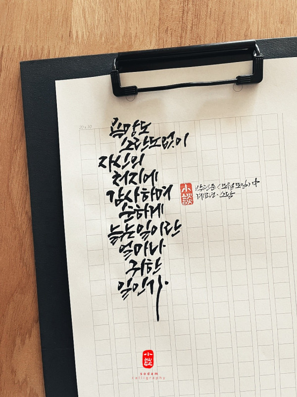 욕망도 소란도 없이