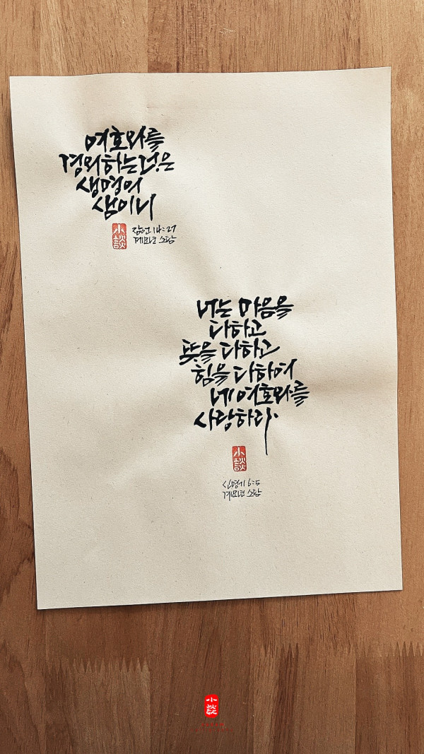 생명의 샘