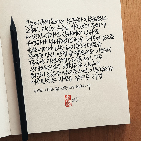 쓸모 너머에 있는 삶의 면목