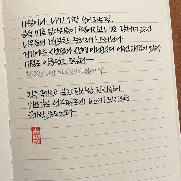11월은 아름답고 모질다