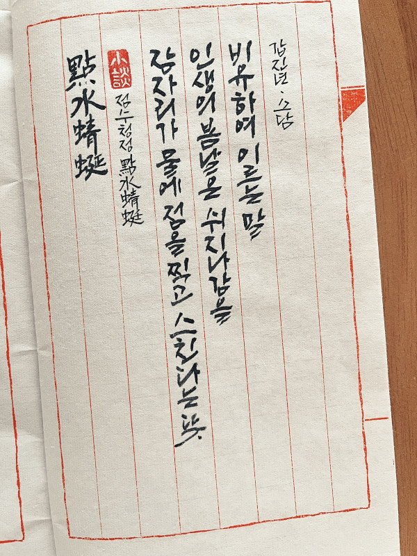 點水蜻蜓(점수청정)