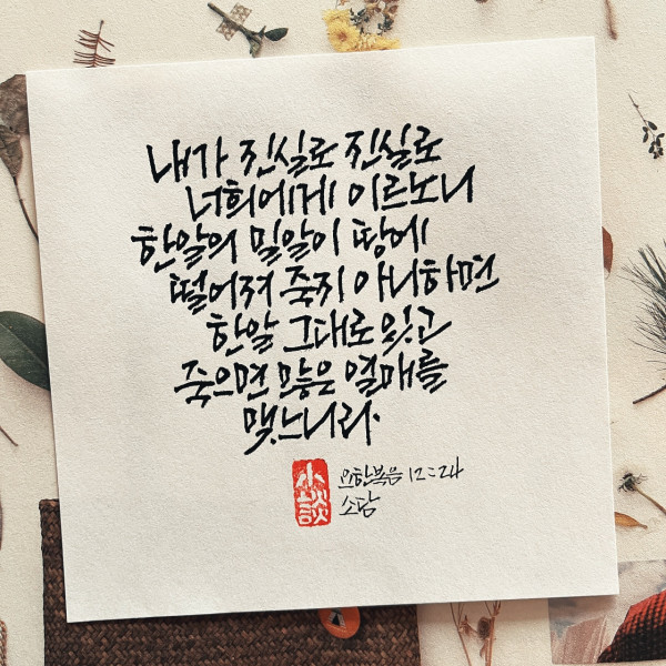 죽으면 많은 열매를 맺느니라