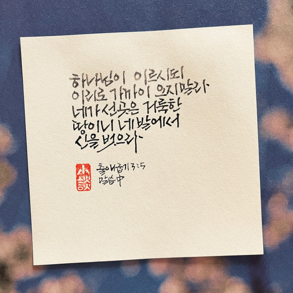 네가 선 곳은 거룩한 땅이니