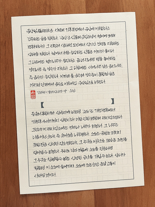 솟대, 즉 솟아오른 나무였다