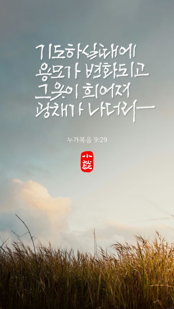 광채가 나더라