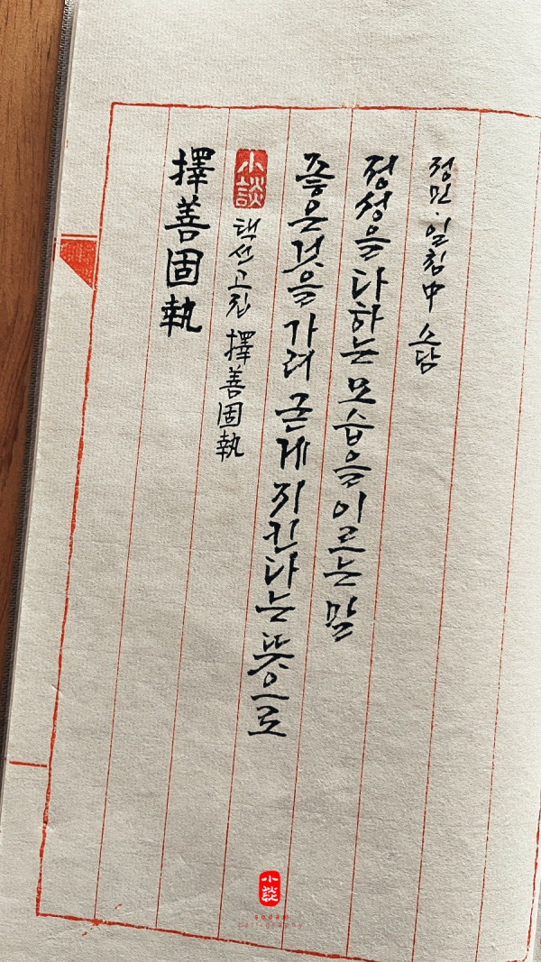擇善固執(택선고집)