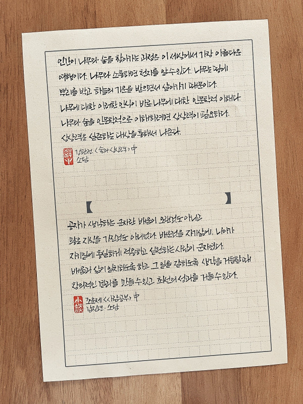나무에 대한 인문학적 이해