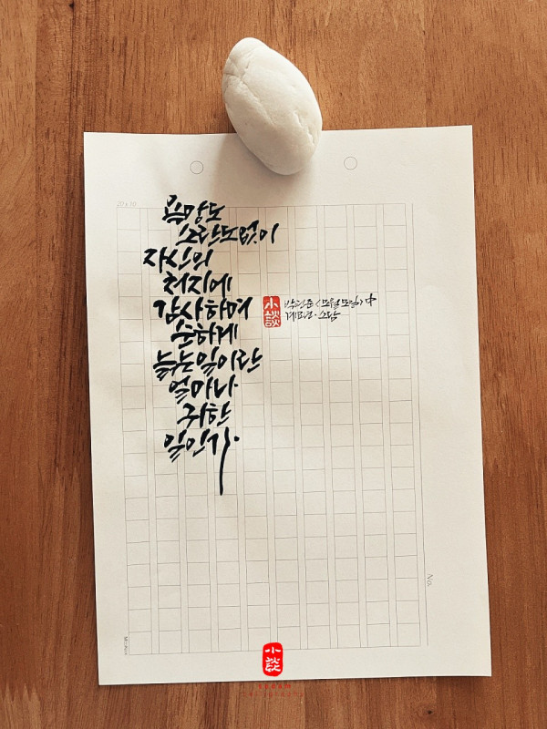 욕망도 소란도 없이