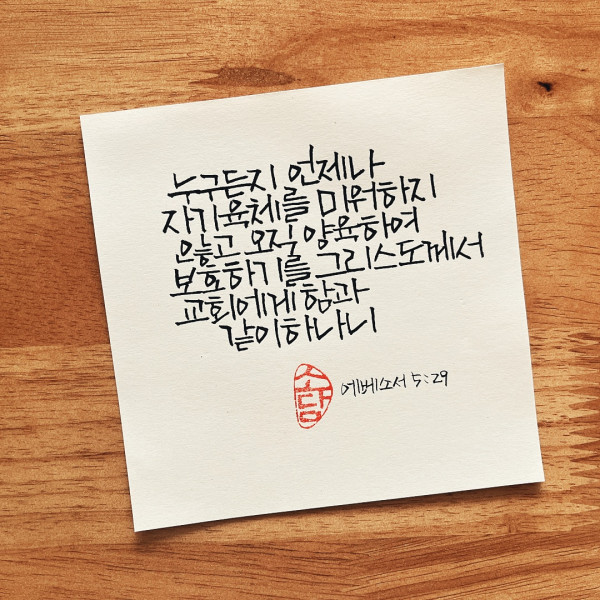 자기 육체를 미워하지 않고