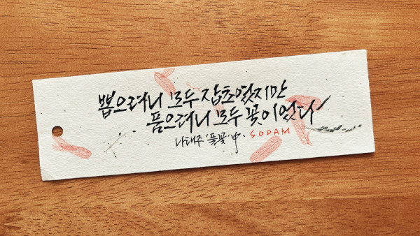 모두 꽃이었다