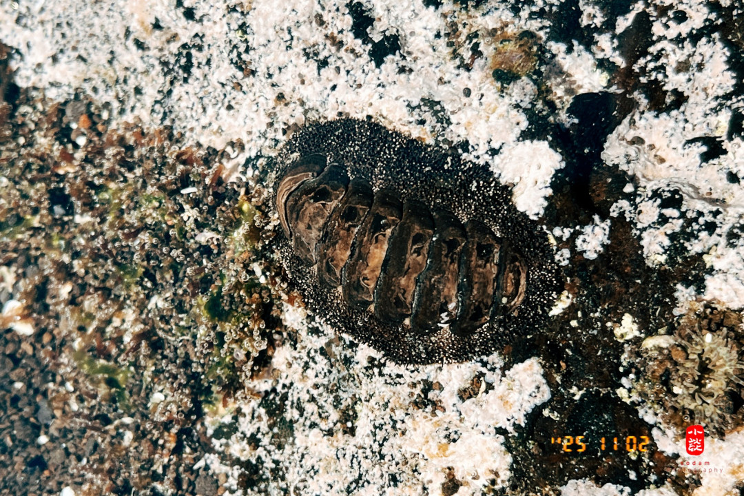 b551e6c5d43a9f43552f9792cec3034c_1762579091_016.jpg