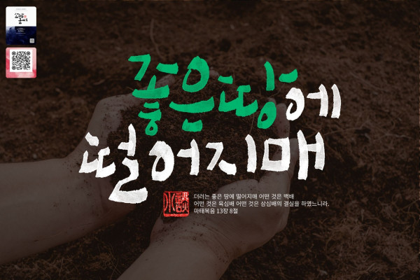 좋은 땅에 떨어지매