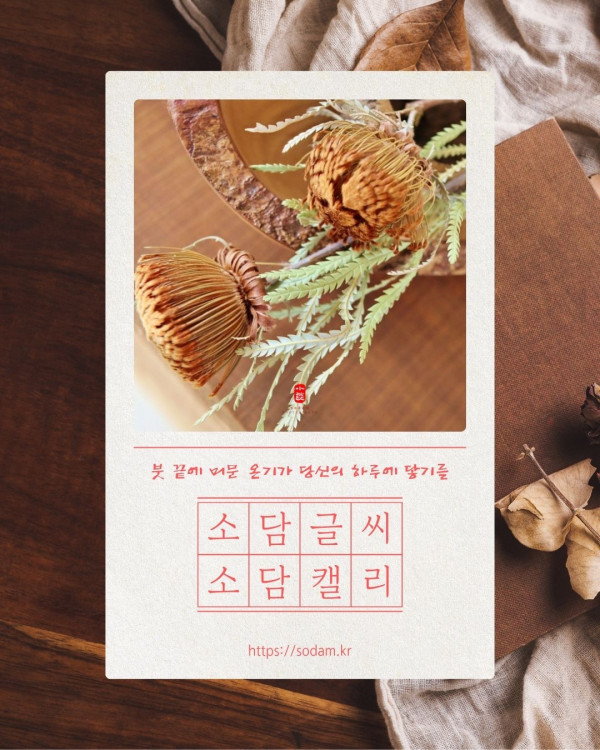소담글씨 회원 글쓰기 안내