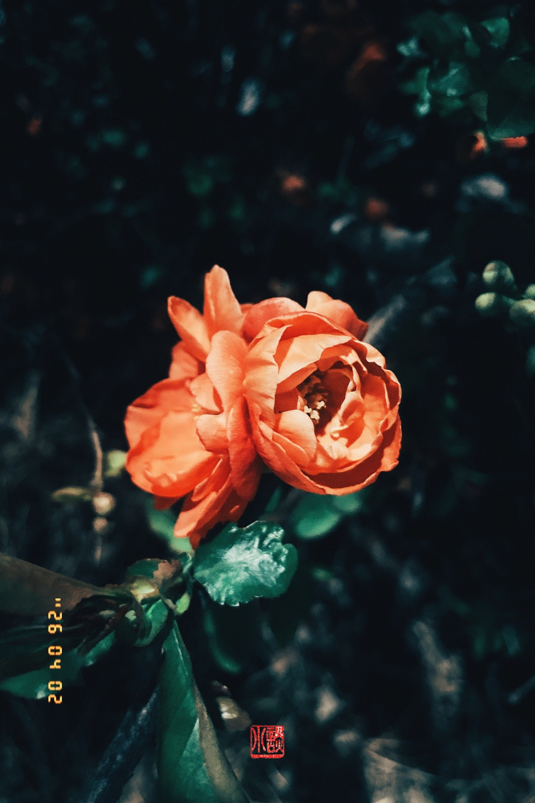 c010a9147740fd3ac75c603fd9c773e1_1775282438_156.jpg