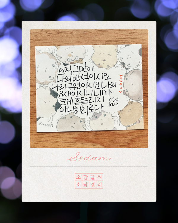 흔들리지 아니하리로다