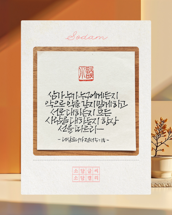 선을 따르라