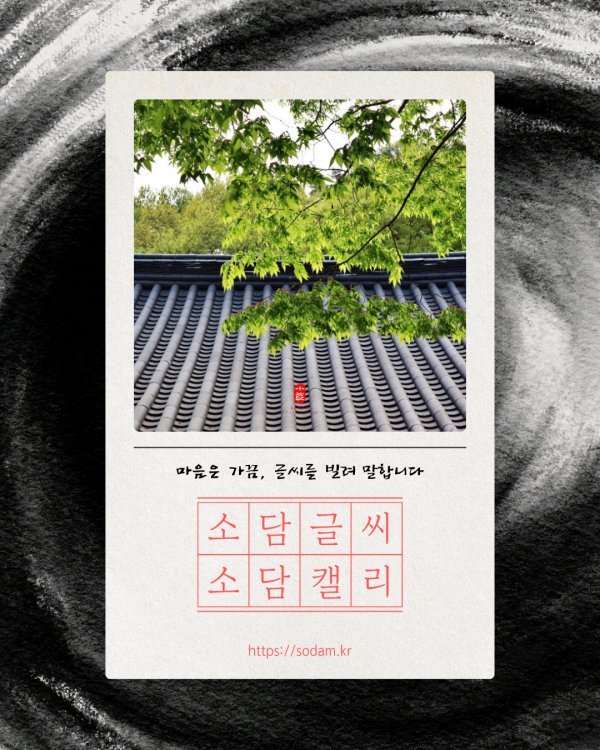 마음은 가끔, 글씨를 빌려 말합니다