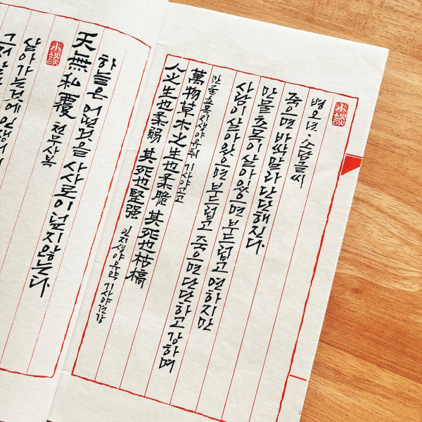 日日是好日 (일일시호일)