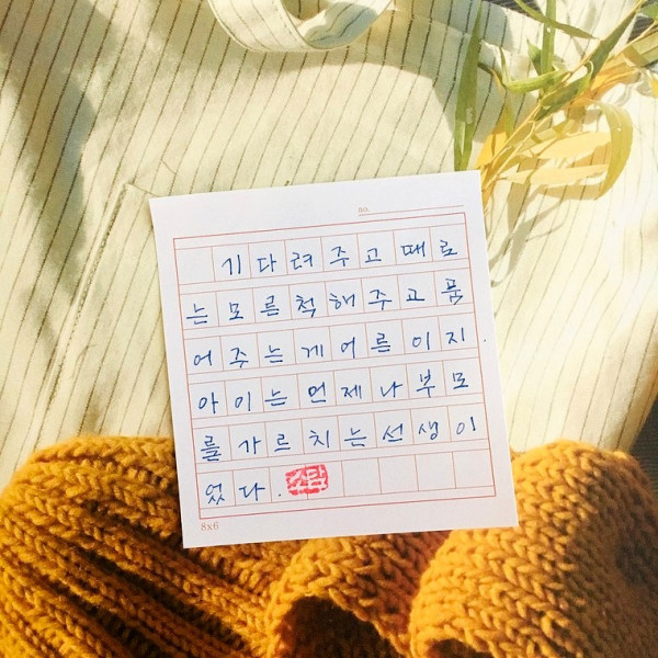 품어주는게 어른