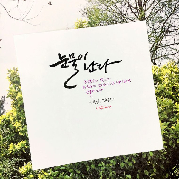 눈물이 난다