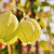 20211125