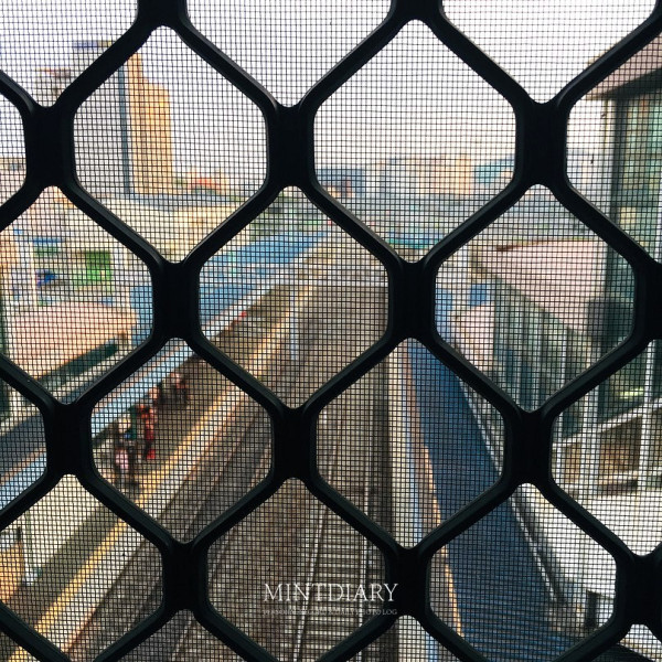 하루한컷 20190814