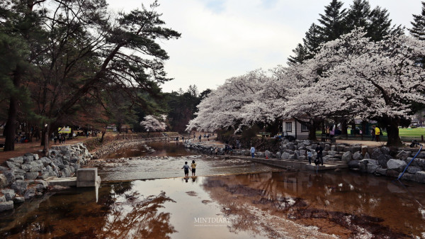 달천