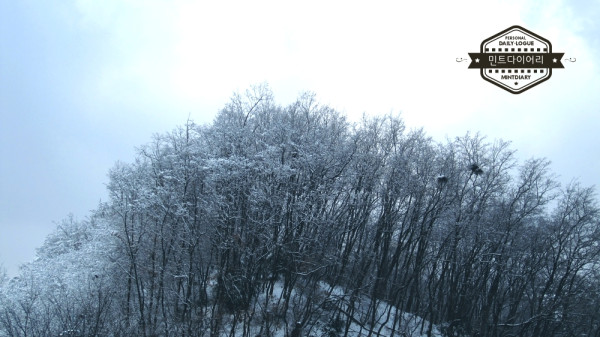 우리집 앞동산 / 사계