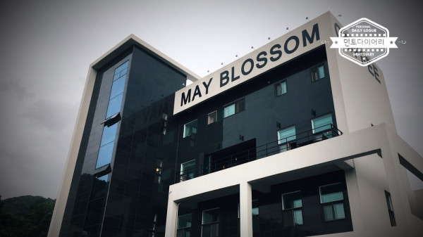 MAY BLOSSOM (메이 블라썸)