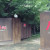 M cafe / 천안 목천