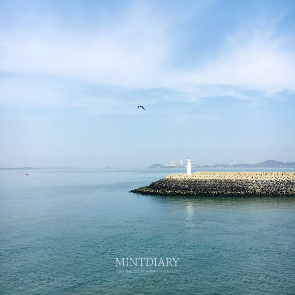 하루한컷, 20190208