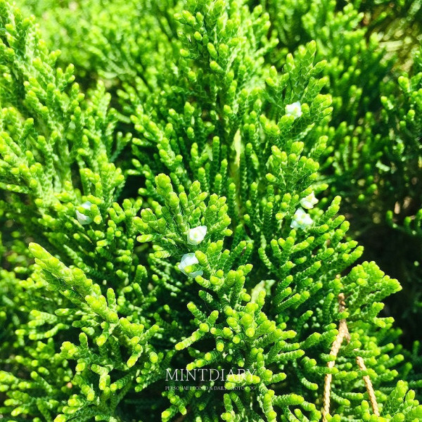 하루한컷, 20190507