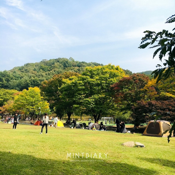 하루한컷 20190724