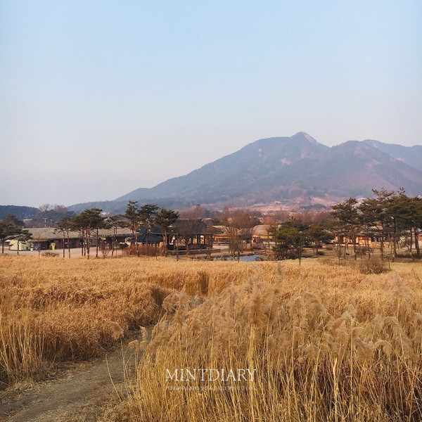 하루한컷 20190722