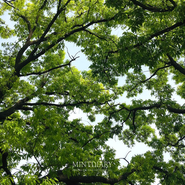 하루한컷, 20190504