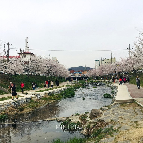 하루한컷, 20190407