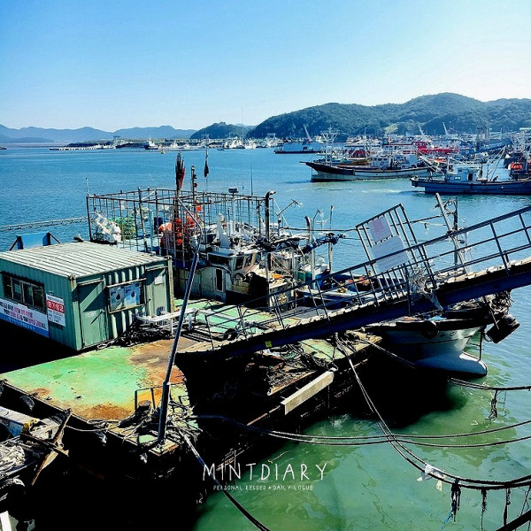 하루한컷, 20190105