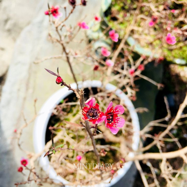하루한컷, 20190215