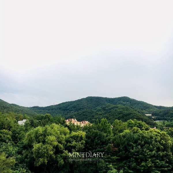 하루한컷 20190713