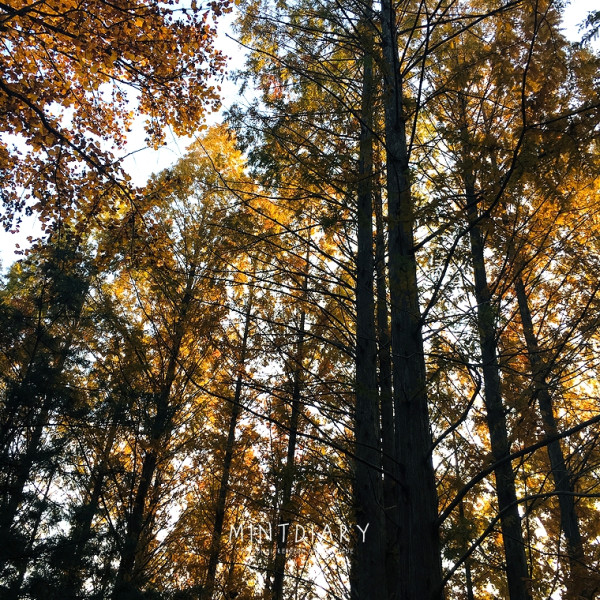 하루한컷, 20181207