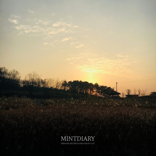하루한컷, 20190121