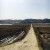 하루한컷, 20190209