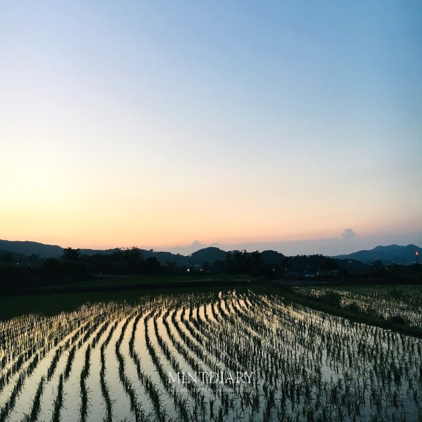 하루한컷, 20190616
