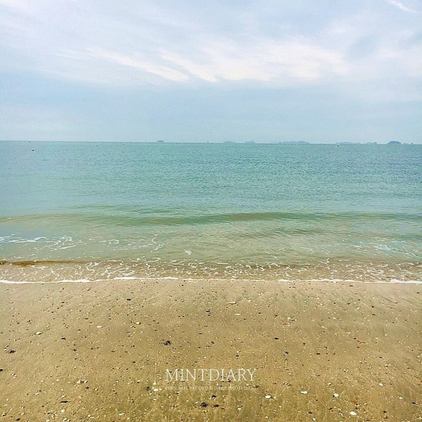 하루한컷, 20190101