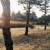 하루한컷, 20190202