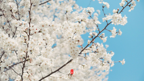 소담바탕화면 #052